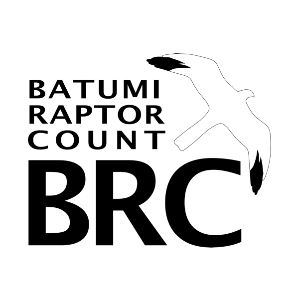 Batumi Raptor Count logo