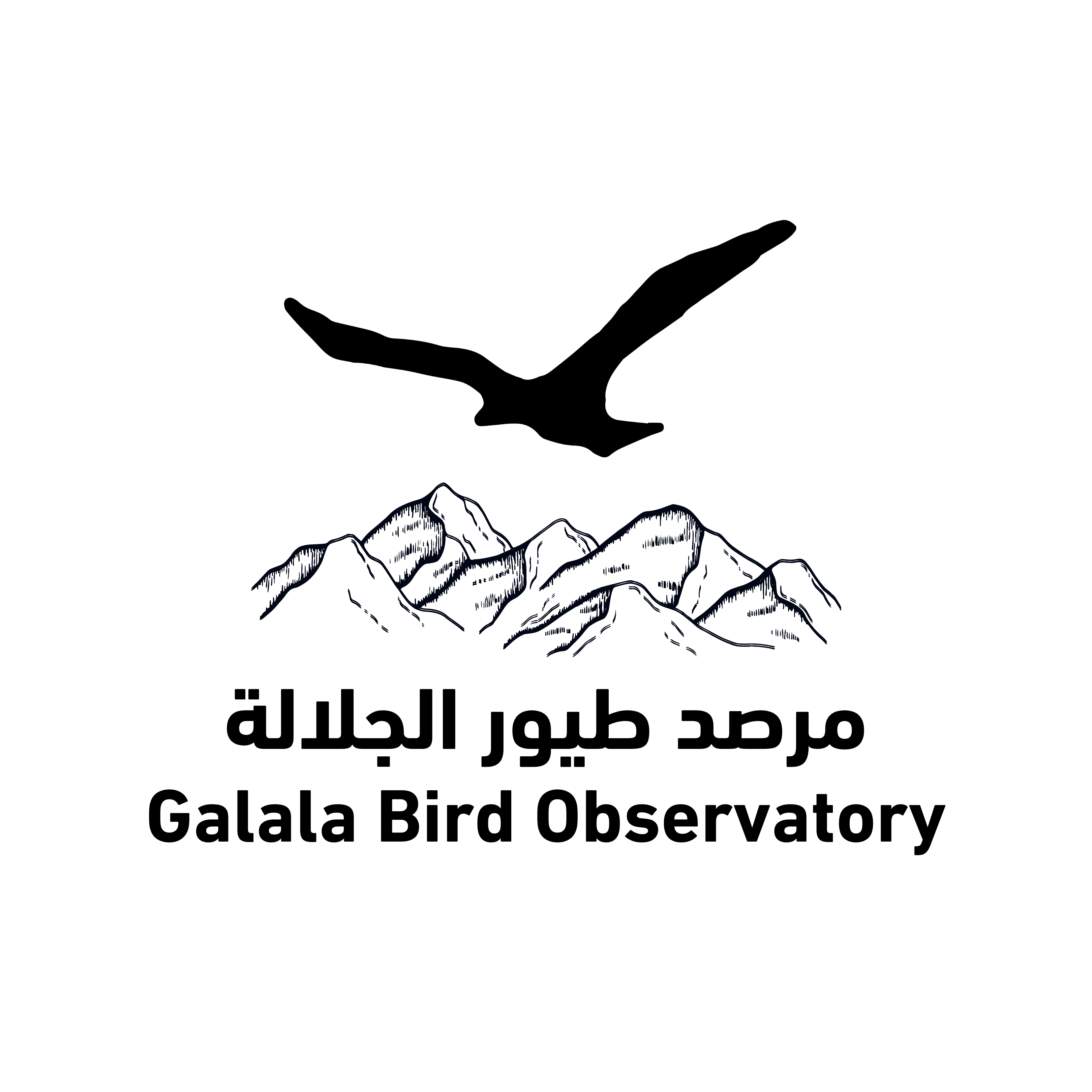 Nature Conservation Egypt logo